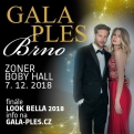 Gala Ples 2018